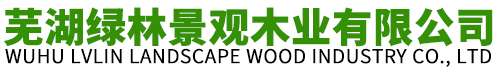 香港宝典全年免费资料