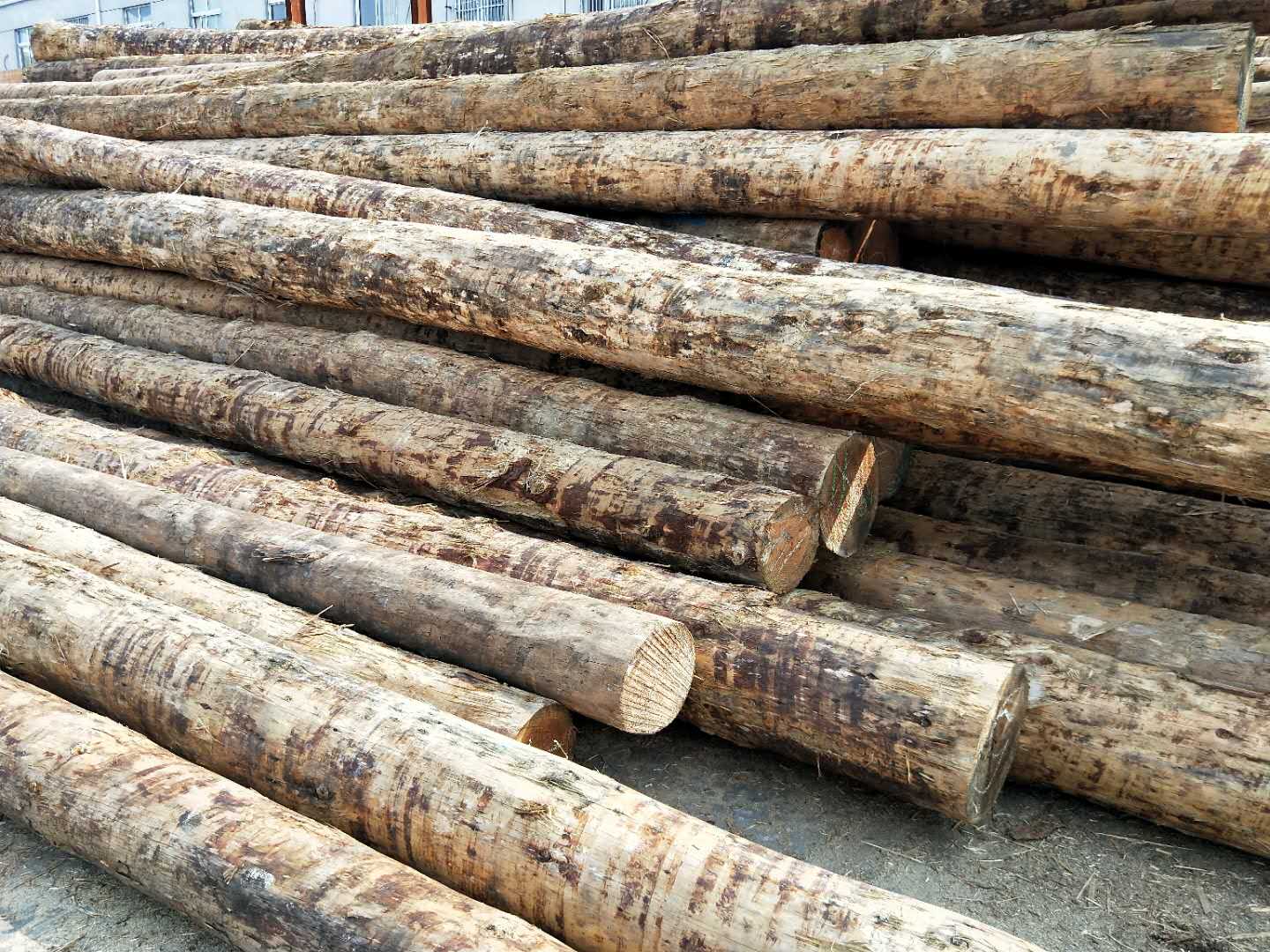 香港宝典全年免费资料