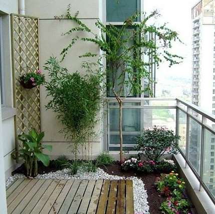 香港宝典全年免费资料