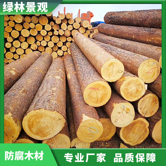 香港宝典全年免费资料